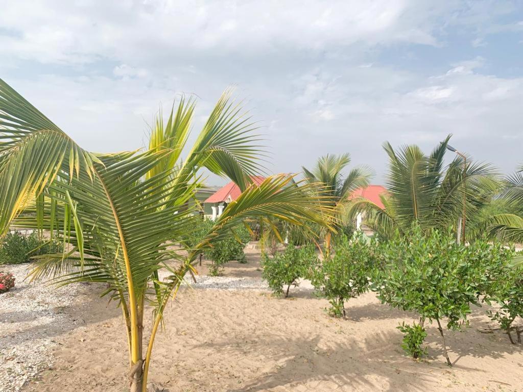 Bosofet Beach And Creek Lodge Sanyang Ngoại thất bức ảnh